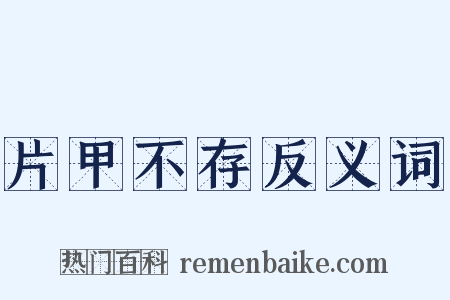 片甲不存反义词是什么意思的图片